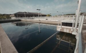 Bio Media: A Complete Guide for ETP/STP